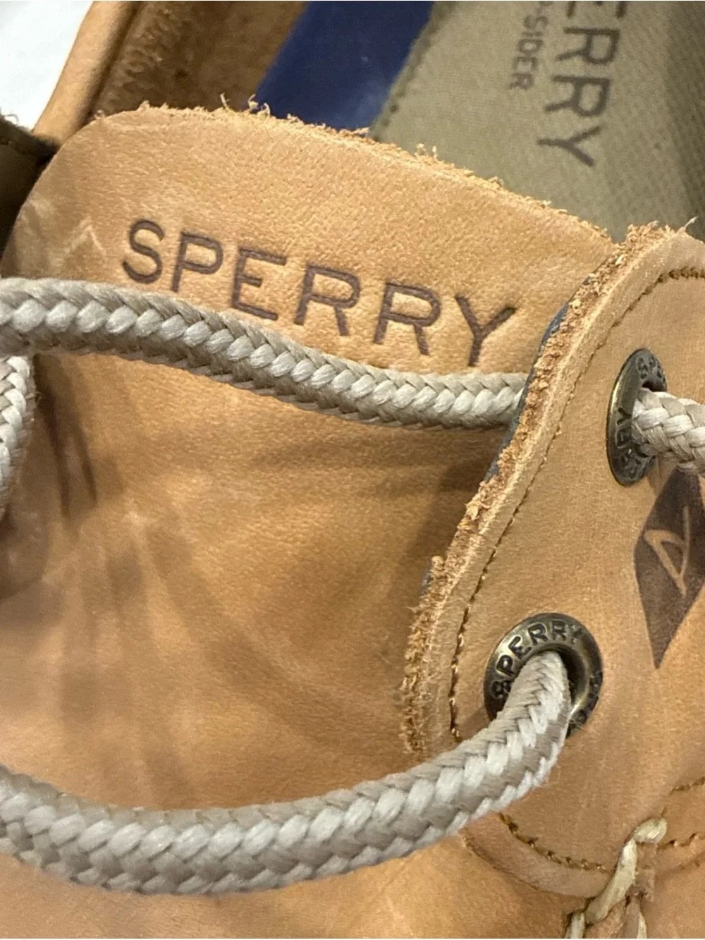 Sperry classic two